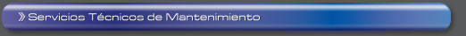 Servicios T&eacute;cnicos de Mantenimiento